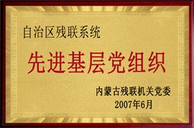 標題：自治區(qū)殘聯(lián)系統(tǒng)先進基層黨組織
瀏覽次數(shù)：29737
發(fā)布時間：2007-06-01